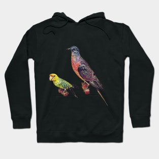 Extinct Birds (passenger pigeon and Carolina parakeet) Hoodie